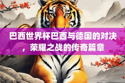 巴西世界杯巴西与德国的对决，荣耀之战的传奇篇章