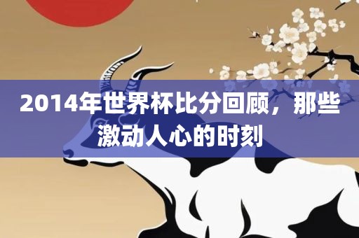 2014年世界杯比分回顾，那些激动人心的时刻