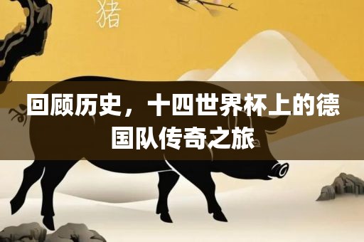 回顾历史，十四世界杯上的德国队传奇之旅