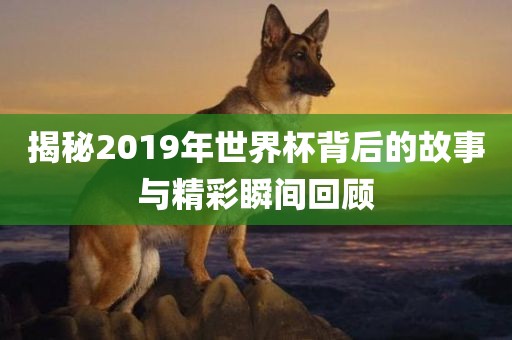 揭秘2019年世界杯背后的故事与精彩瞬间回顾