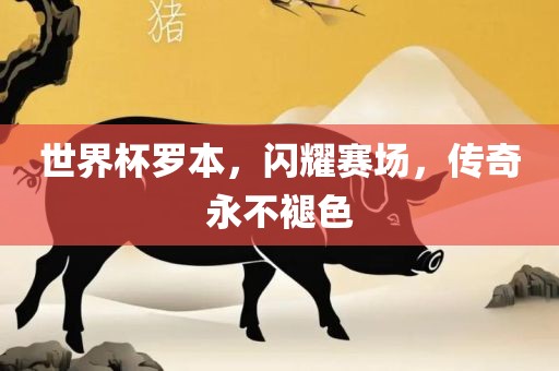 世界杯罗本，闪耀赛场，传奇永不褪色