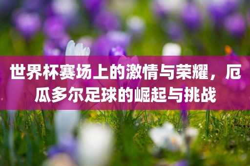 世界杯赛场上的激情与荣耀，厄瓜多尔足球的崛起与挑战