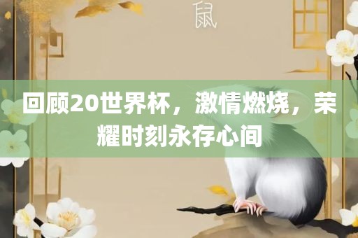 回顾20世界杯，激情燃烧，荣耀时刻永存心间吉安市靖泰电力工程有限公司