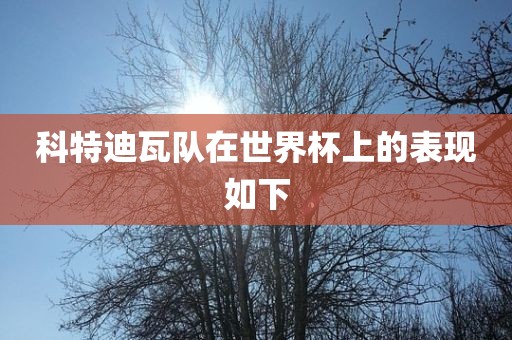 科特迪瓦队在世界杯上的表现如下