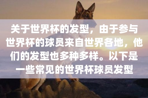 关于世界杯的发型，由于参与世界杯的球员来自世界各地，他们的发型也多种多样。以下是一些常见的世界杯球员发型
