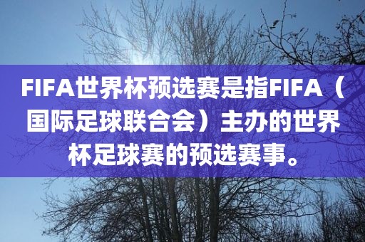 FIFA世界杯预选赛是指FIFA（国际足球联合会）主办的世界杯足球赛的预选赛事。