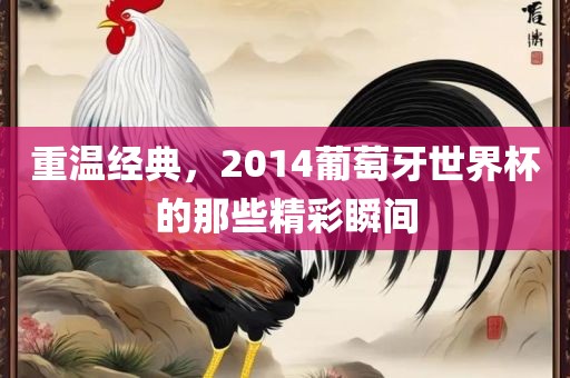 重温经典，2014葡萄牙世界杯的那些精彩瞬间