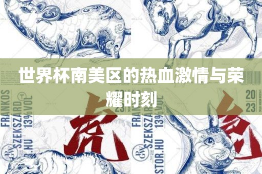 世界杯南美区的热血激情与荣耀时刻