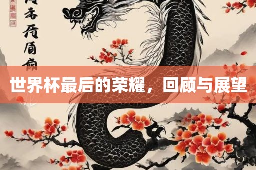世界杯最后的荣耀，回顾与展望