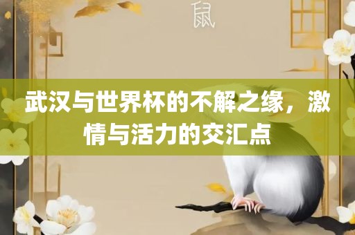 武汉与世界杯的不解之缘，激情与活力的交汇点