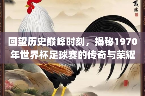 回望历史巅峰时刻，揭秘1970年世界杯足球赛的传奇与荣耀
