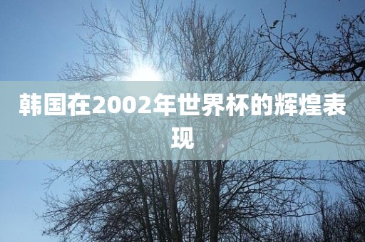 韩国在2002年世界杯的辉煌表现