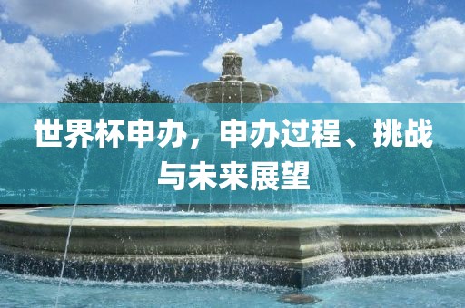 世界杯申办，申办过程、挑战与未来展望吉安市靖泰电力工程有限公司