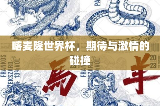 喀麦隆世界杯，期待与激情的碰撞