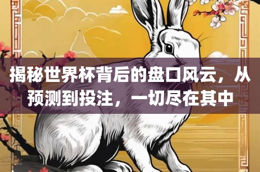 揭秘世界杯背后的盘口风云，从预测到投注，一切尽在其中