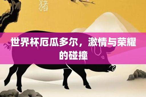 世界杯厄瓜多尔，激情与荣耀的碰撞