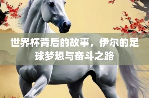 世界杯背后的故事，伊尔的足球梦想与奋斗之路