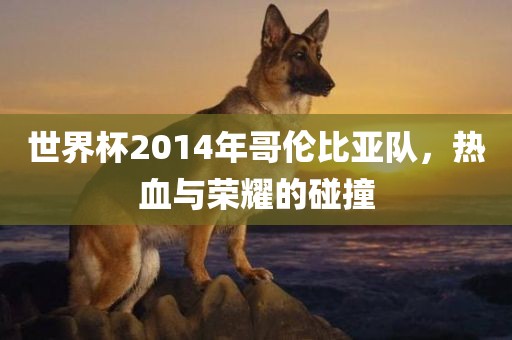 世界杯2014年哥伦比亚队，热血与荣耀的碰撞