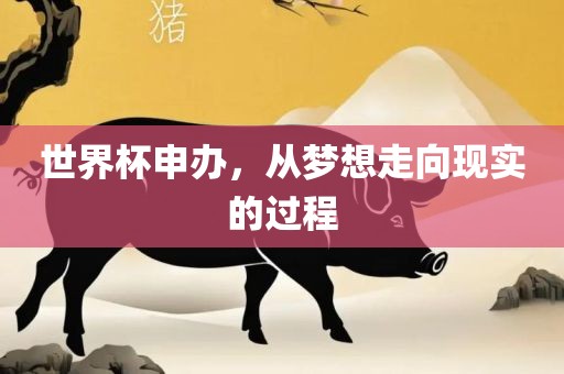 世界杯申办，从梦想走向现实的过程