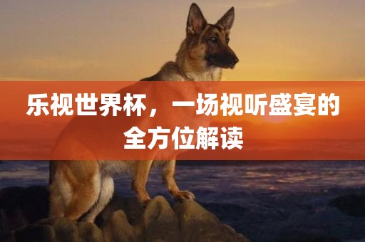 乐视世界杯，一场视听盛宴的全方位解读