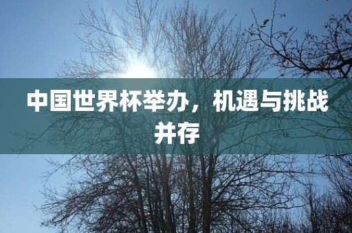 中国世界杯举办，机遇与挑战并存