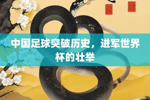 中国足球突破历史，进军世界杯的壮举