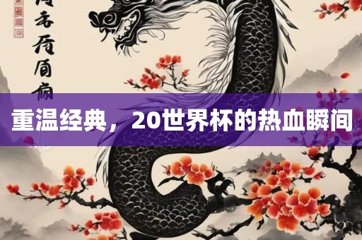 重温经典，20世界杯的热血瞬间吉安市靖泰电力工程有限公司