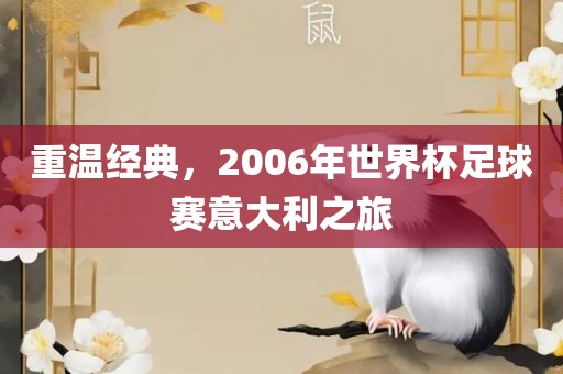重温经典，2006年世界杯足球赛意大利之旅