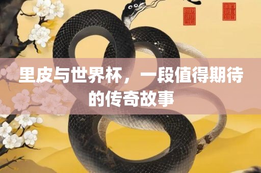 里皮与世界杯，一段值得期待的传奇故事