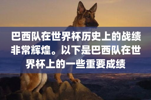 巴西队在世界杯历史上的战绩非常辉煌。以下是巴西队在世界杯上的一些重要成绩