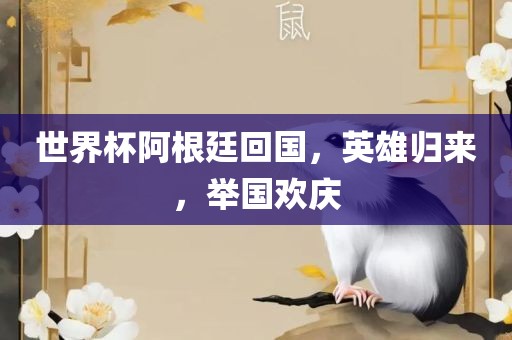 世界杯阿根廷回国，英雄归来，举国欢庆