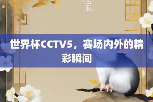 世界杯CCTV5，赛场内外的精彩瞬间