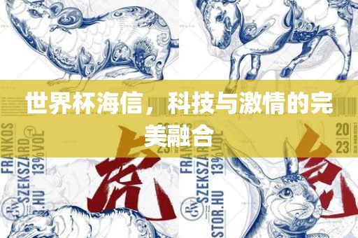 世界杯海信，科技与激情的完美融合