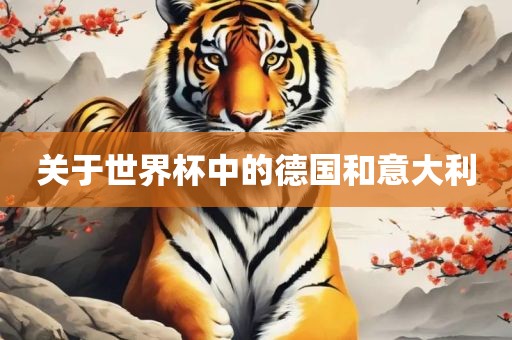 关于世界杯中的德国和意大利