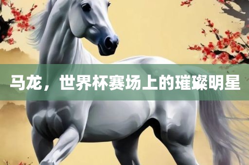 马龙，世界杯赛场上的璀璨明星