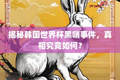 揭秘韩国世界杯黑哨事件，真相究竟如何？