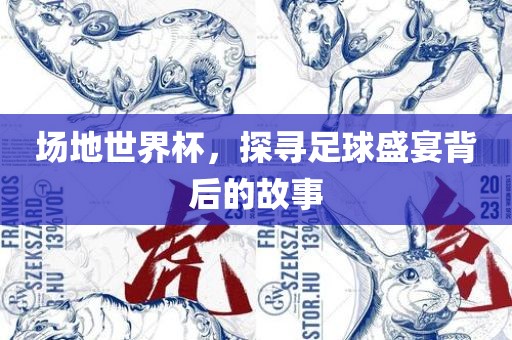 场地世界杯，探寻足球盛宴背后的故事