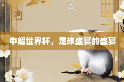 中超世界杯，足球盛宴的盛宴