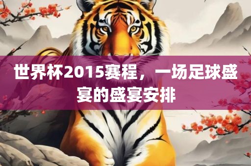 世界杯2015赛程，一场足球盛宴的盛宴安排