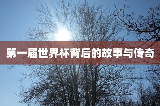 第一届世界杯背后的故事与传奇