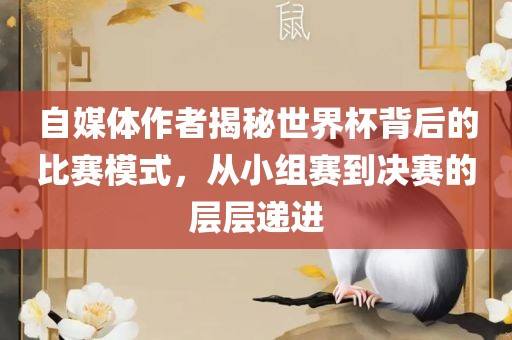 自媒体作者揭秘世界杯背后的比赛模式，从小组赛到决赛的层层递进