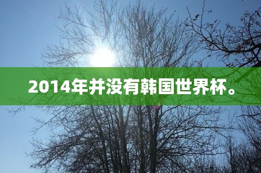 2014年并没有韩国世界杯。