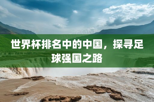 世界杯排名中的中国，探寻足球强国之路