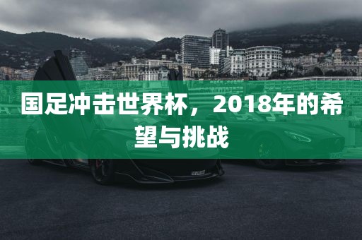 国足冲击世界杯，2018年的希望与挑战