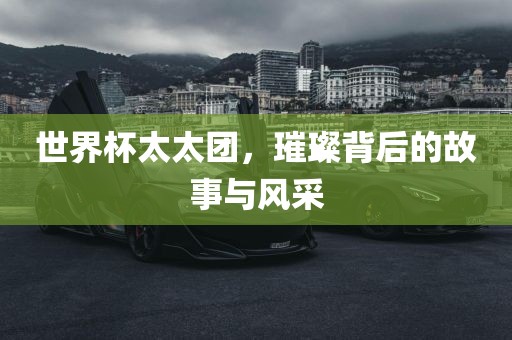世界杯太太团，璀璨背后的故事与风采