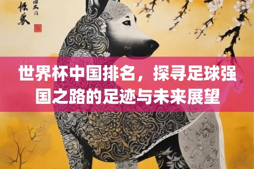 世界杯中国排名，探寻足球强国之路的足迹与未来展望