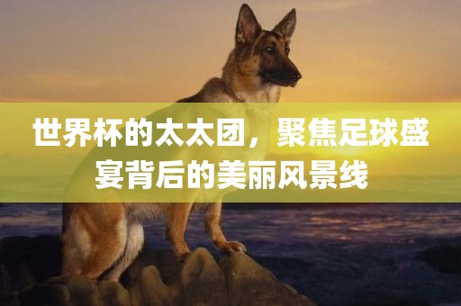 世界杯的太太团，聚焦足球盛宴背后的美丽风景线