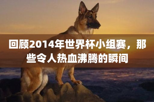 回顾2014年世界杯小组赛，那些令人热血沸腾的瞬间