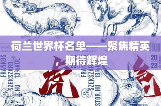 荷兰世界杯名单——聚焦精英，期待辉煌