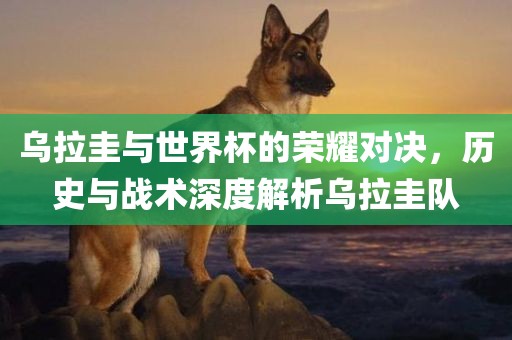 乌拉圭与世界杯的荣耀对决，历史与战术深度解析乌拉圭队